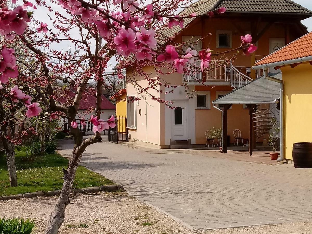 Napsugar Vendeghaz Hotel Ujudvar Exterior photo